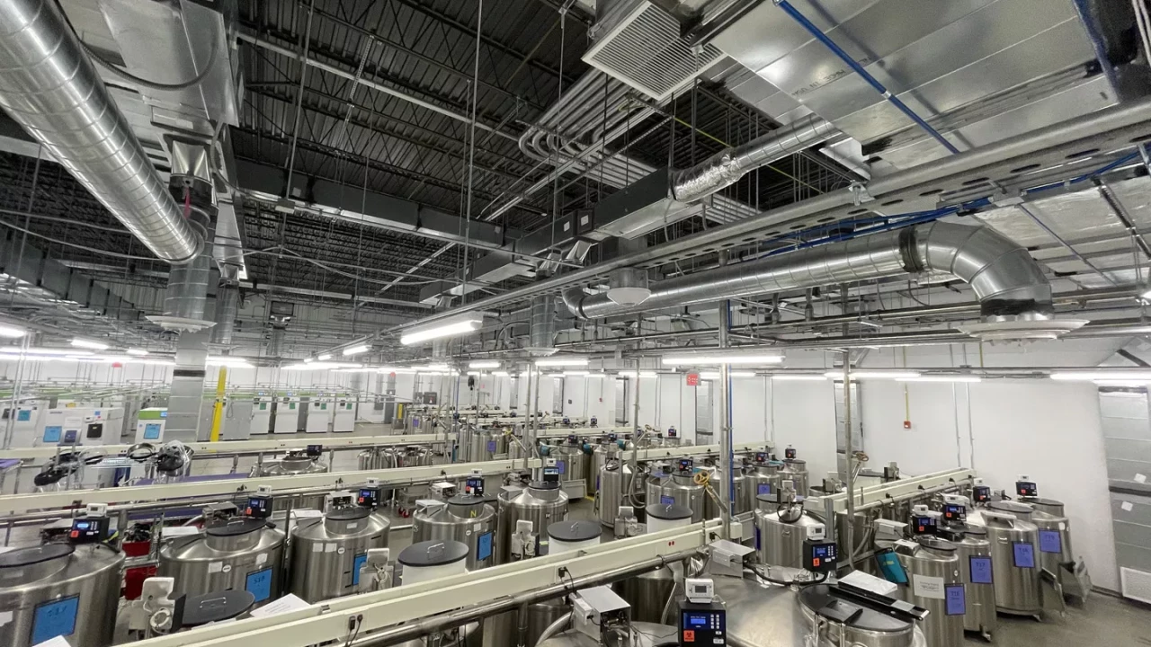 Photo 6 of Biopathology Center Renovation