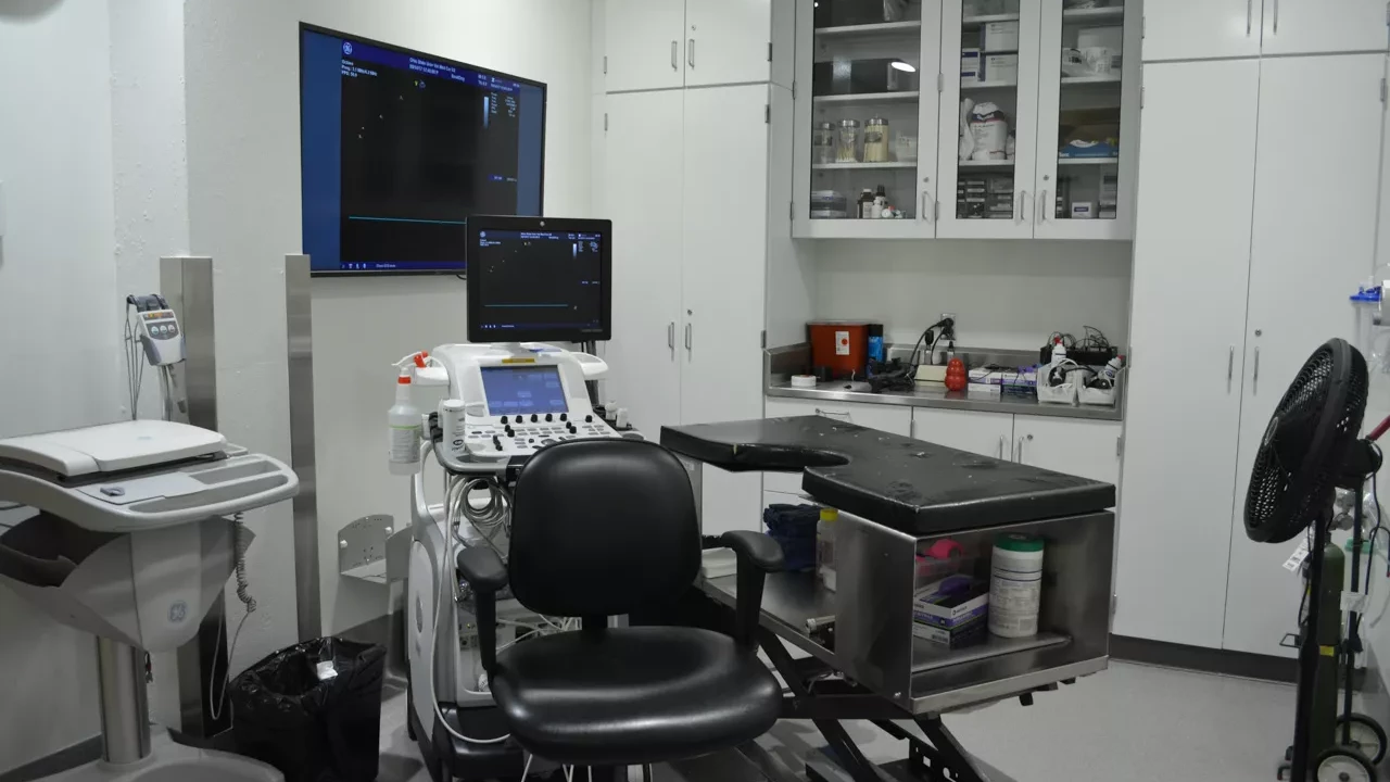 Photo 11 of Veterinary Hospital Enhancement