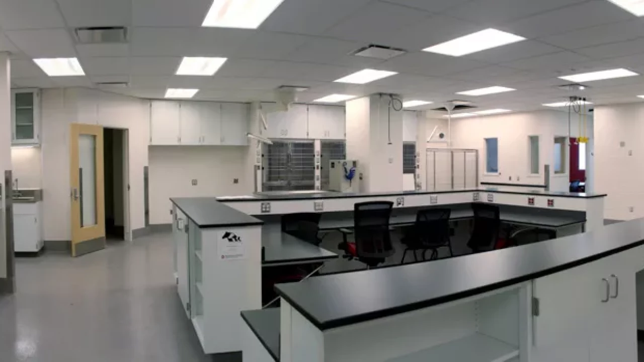 Photo 12 of Veterinary Hospital Enhancement