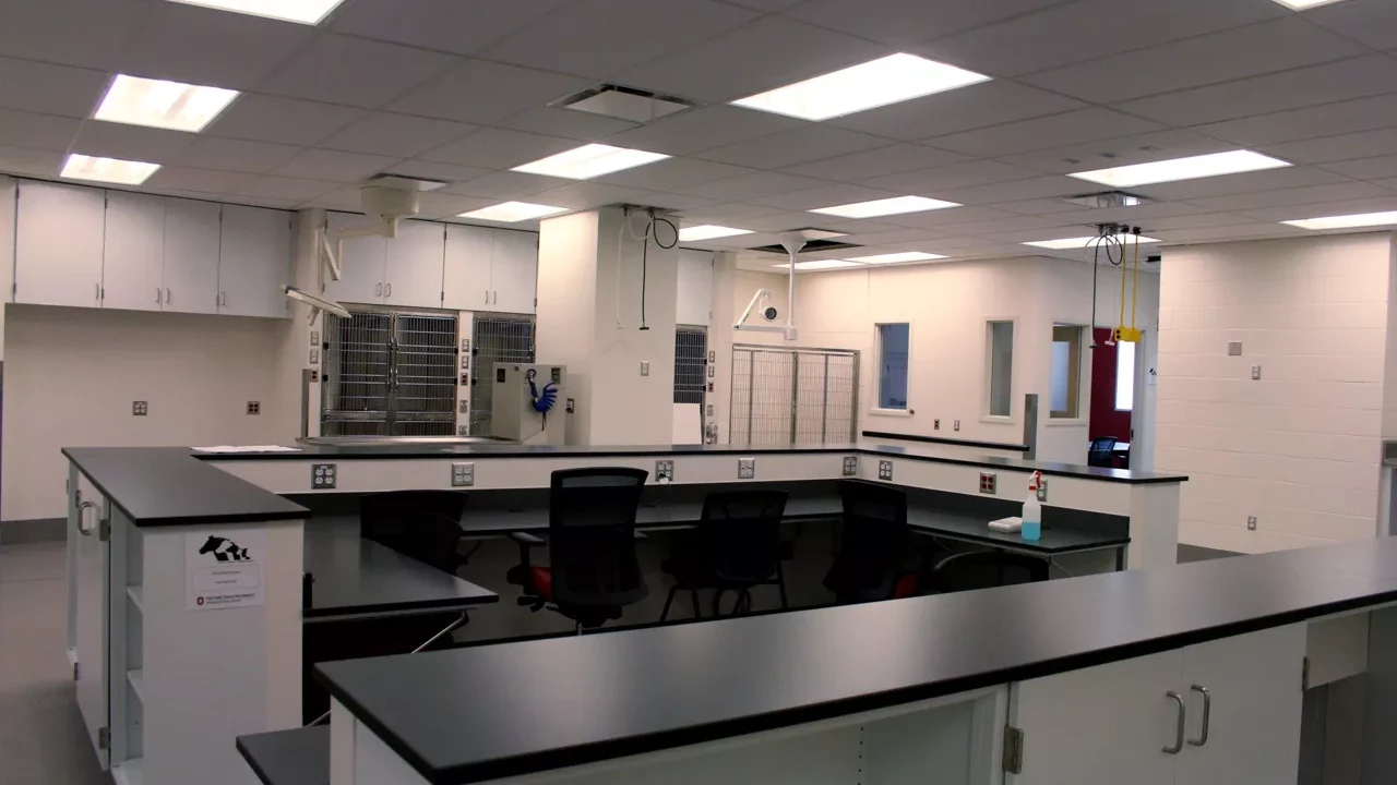 Photo 6 of Veterinary Hospital Enhancement