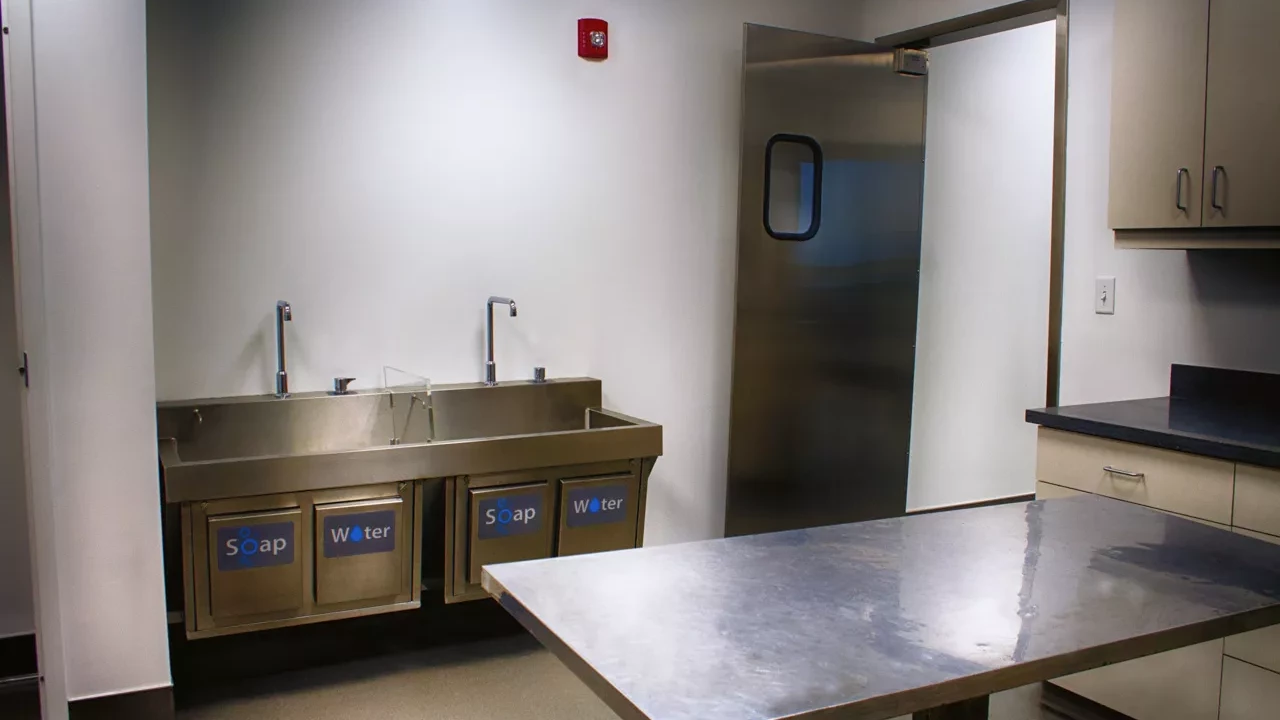 Photo 5 of New Kennel