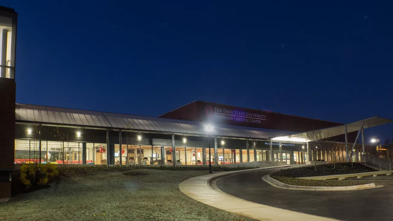 Photo 10 of Veterinary Hospital Enhancement