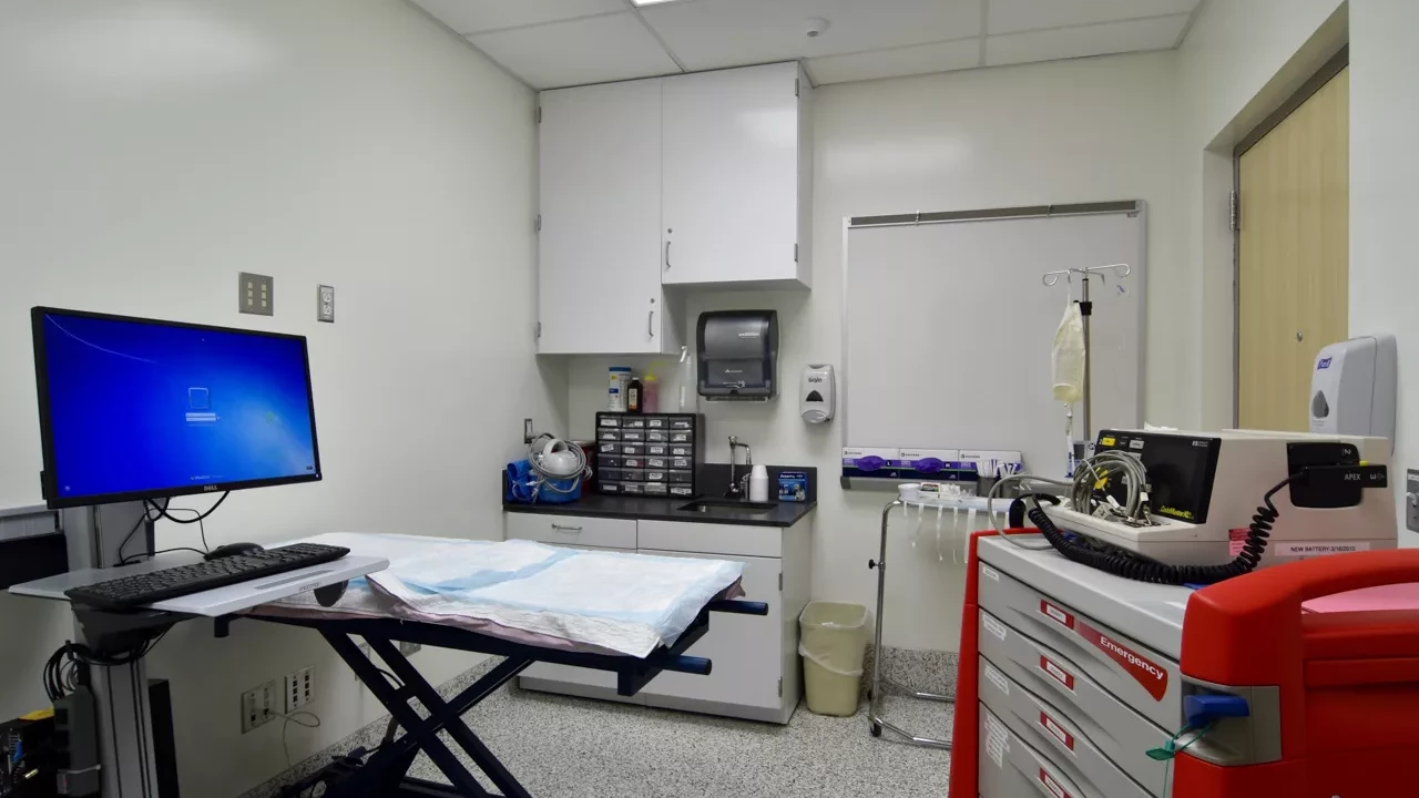 Photo 13 of Veterinary Hospital Enhancement