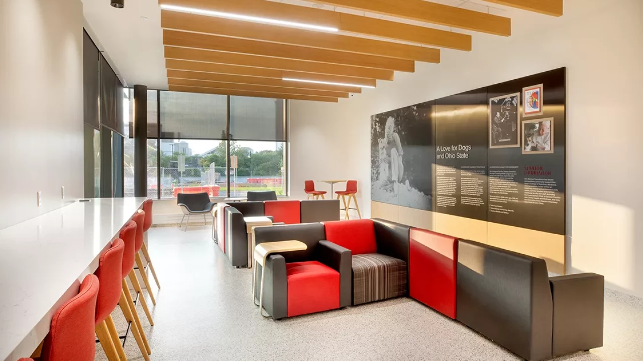 Photo 6 of Frank Stanton Veterinary Spectrum of Care Clinic