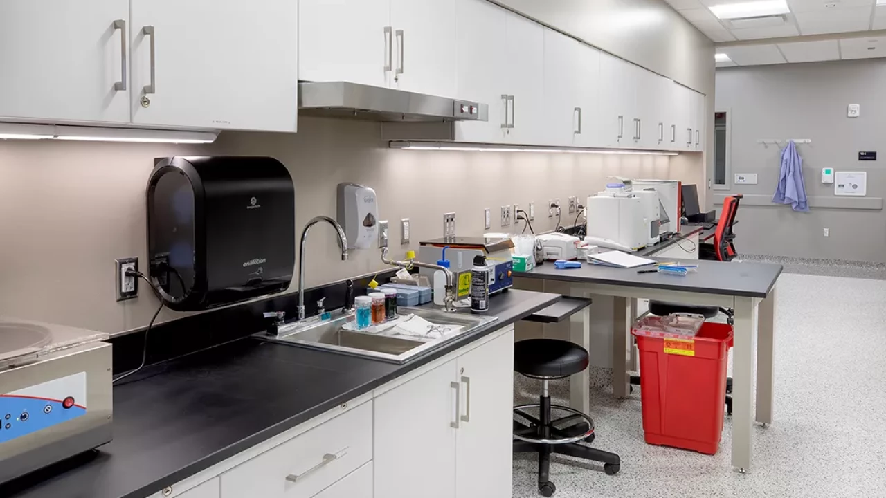 Photo 11 of Frank Stanton Veterinary Spectrum of Care Clinic