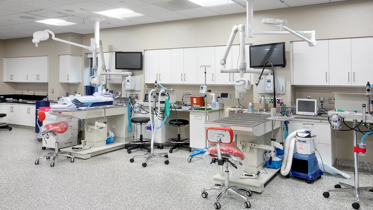 Photo 2 of Frank Stanton Veterinary Spectrum of Care Clinic