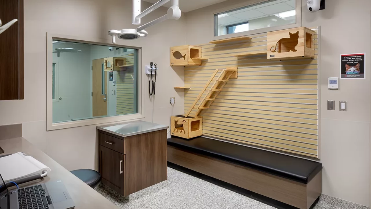 Photo 10 of Frank Stanton Veterinary Spectrum of Care Clinic