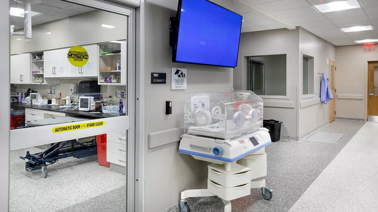 Photo 9 of Frank Stanton Veterinary Spectrum of Care Clinic