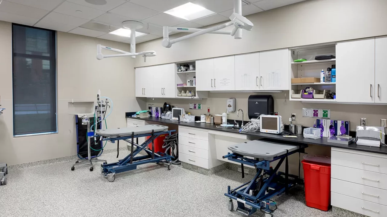 Photo 7 of Frank Stanton Veterinary Spectrum of Care Clinic