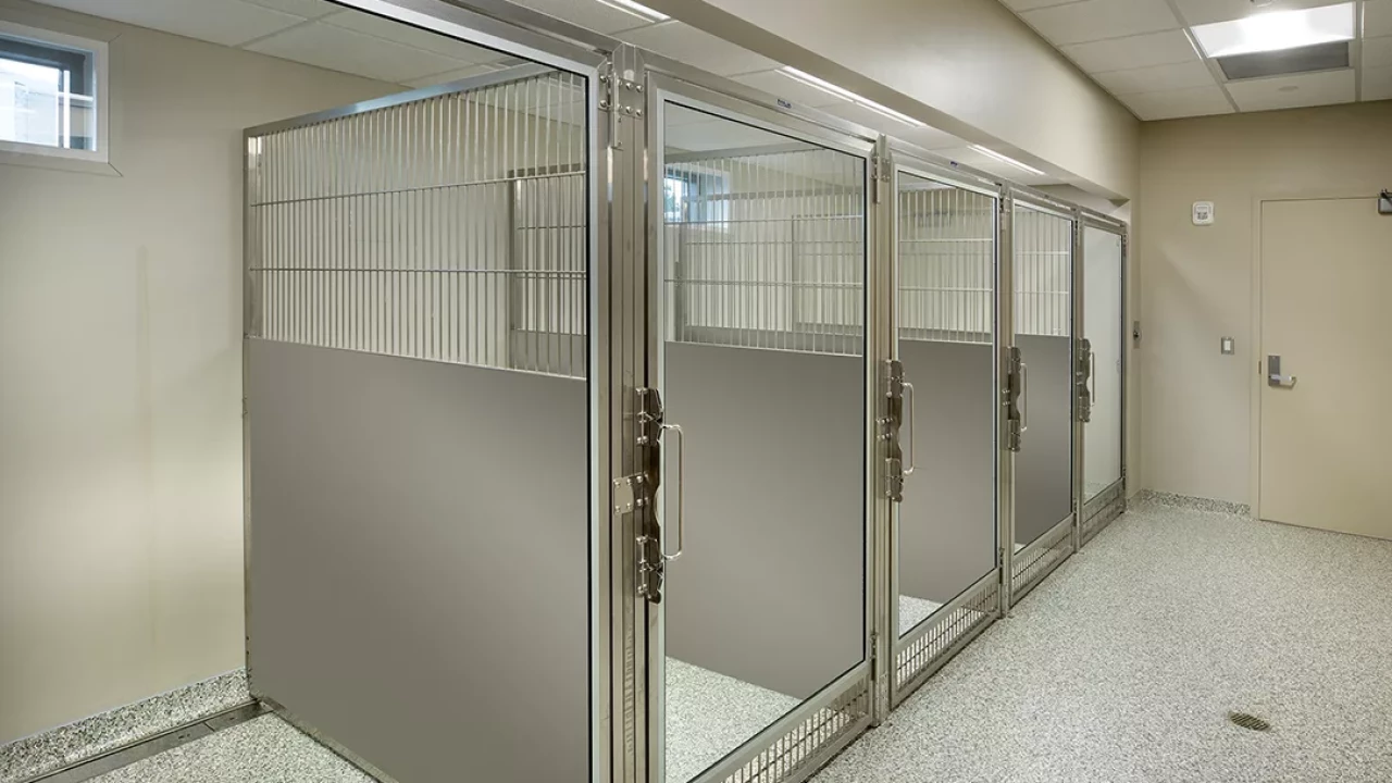 Photo 13 of Frank Stanton Veterinary Spectrum of Care Clinic