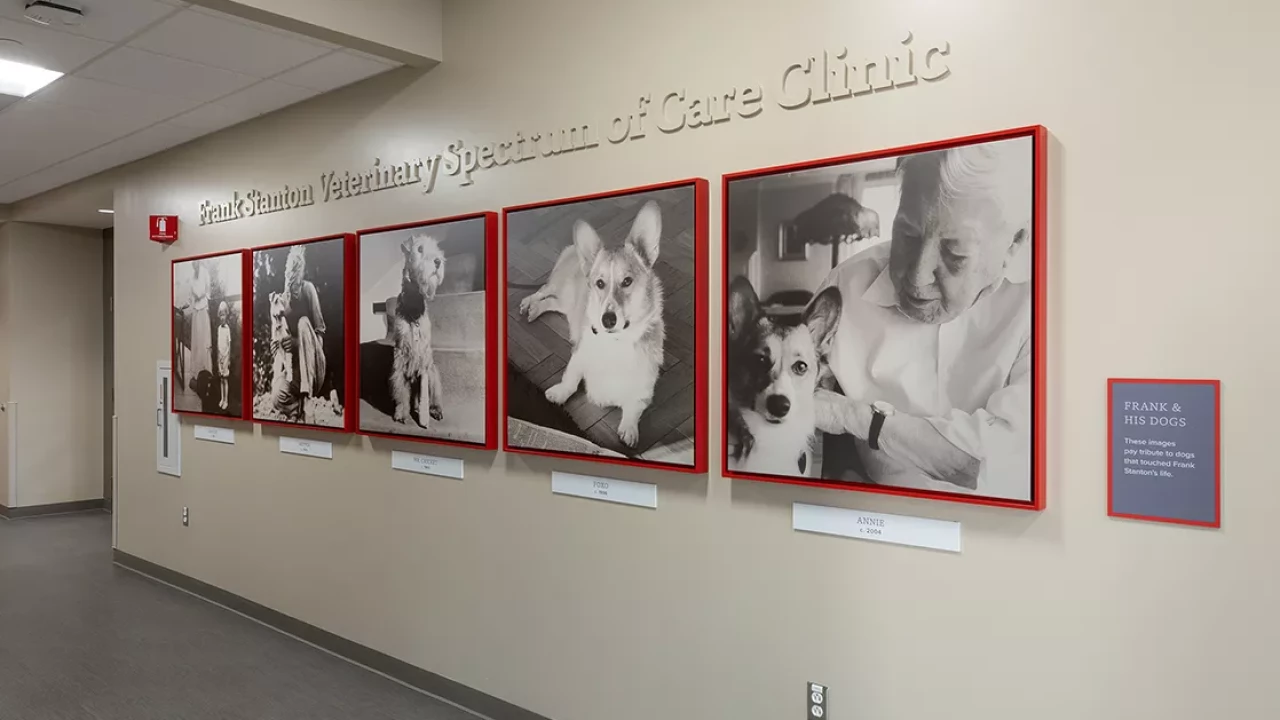 Photo 12 of Frank Stanton Veterinary Spectrum of Care Clinic