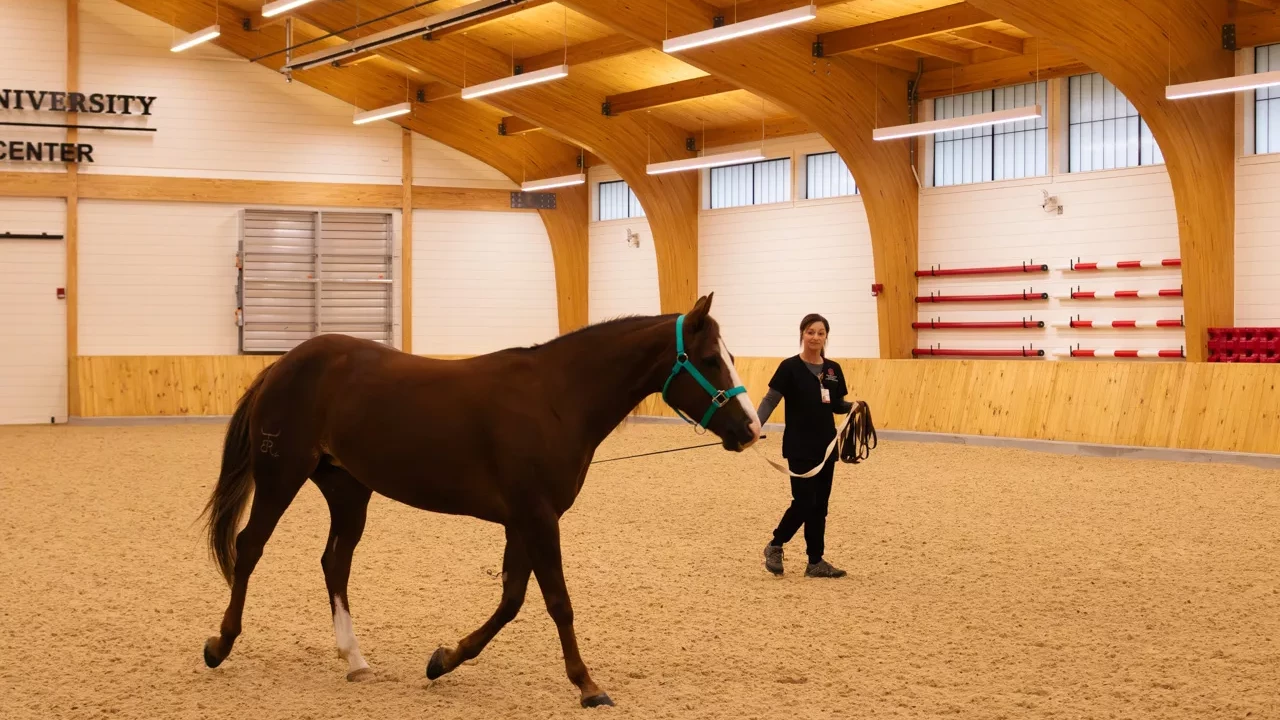 Photo 6 of Ralph Rogan Equine Performance Evaluation Arena